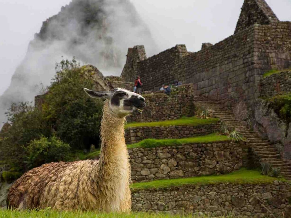 Machu Picchu 2