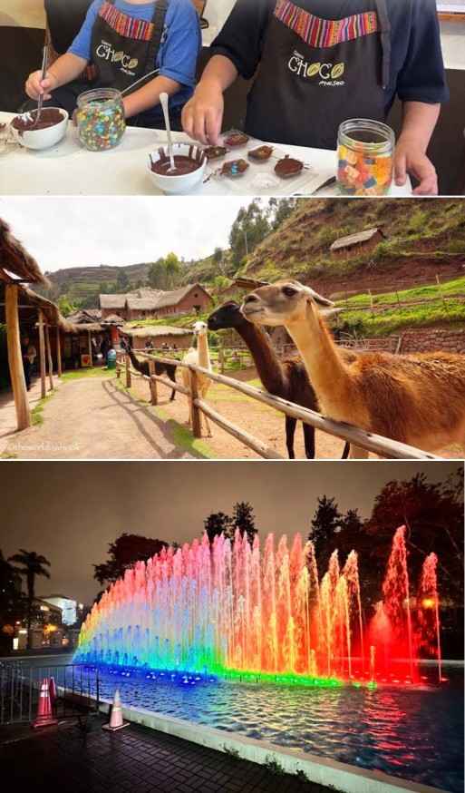 Top 3 "Must-Do" Activities for Families