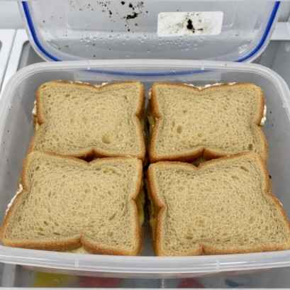 Common Signs a Sandwich Has Gone Bad