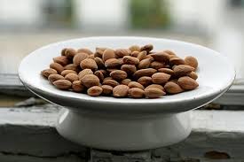 bitter apricot kernel