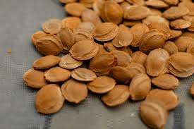 How many apricot seeds should I eat a day? Safety & Limits