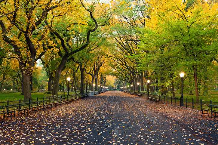 Newyork central park