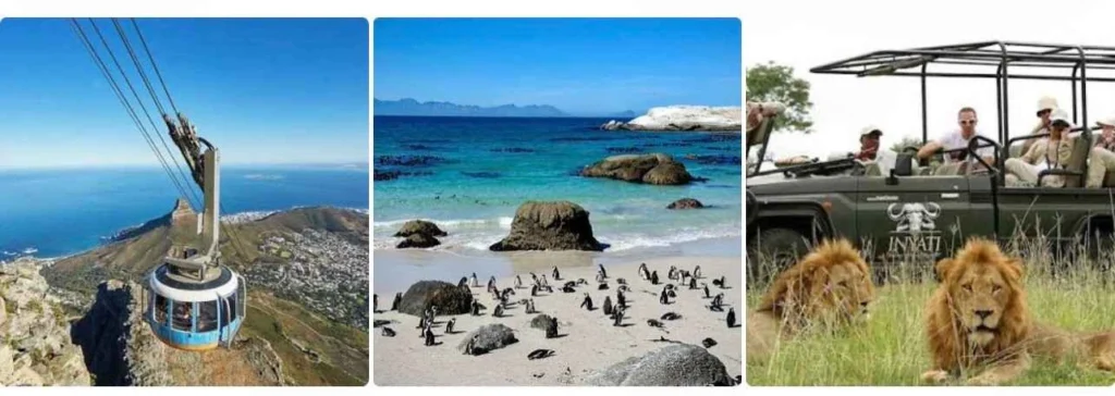 South African safari