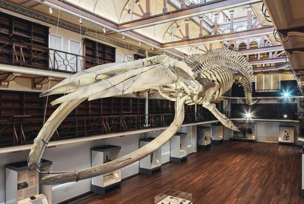 WA Museum Boola Bardip