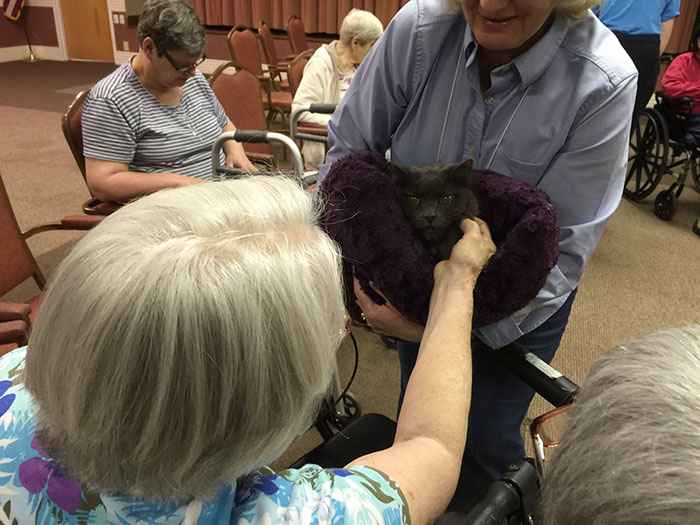 senior doing Shelter Pet Socializing