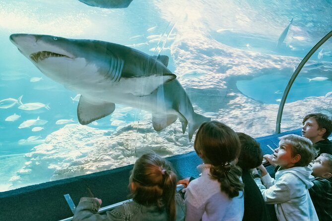 AQWA (Aquarium of Western Australia)