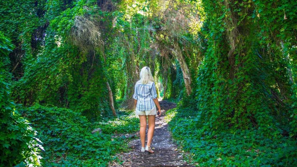 Gwelup Secret Garden