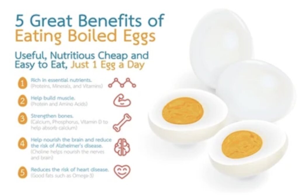 egg benefits
