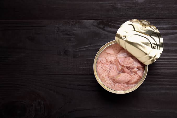 tuna cann