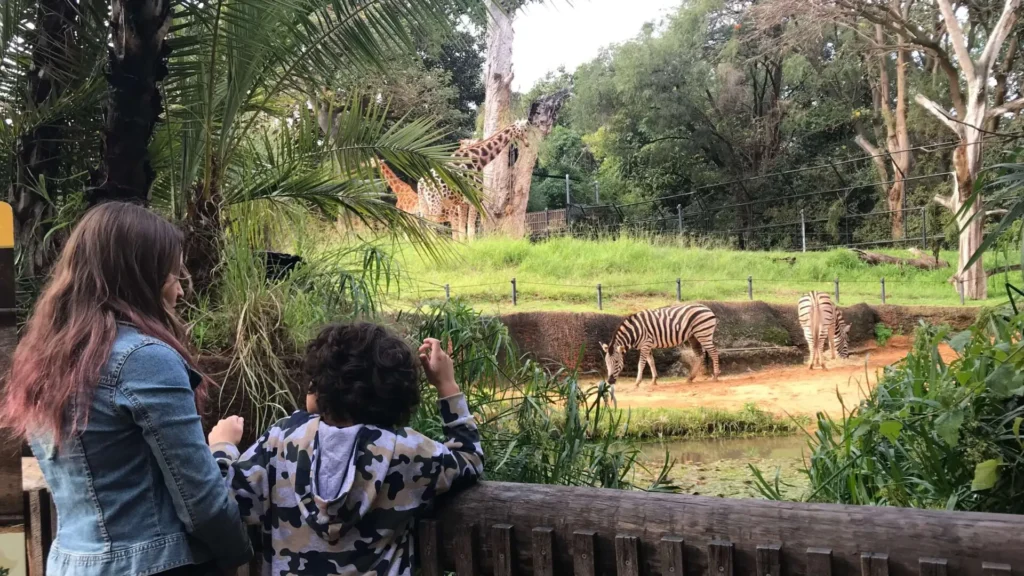 Perth Zoo