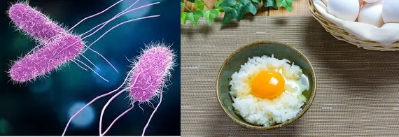  The Salmonella Threat (Undercooked Yolks)