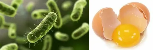 The Listeria Threat (Temperature Abuse and Cross-Contamination)