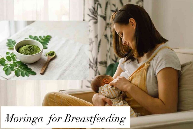 Moringa for Breastfeeding: Clinical Dosage, Milk Results & Safety
