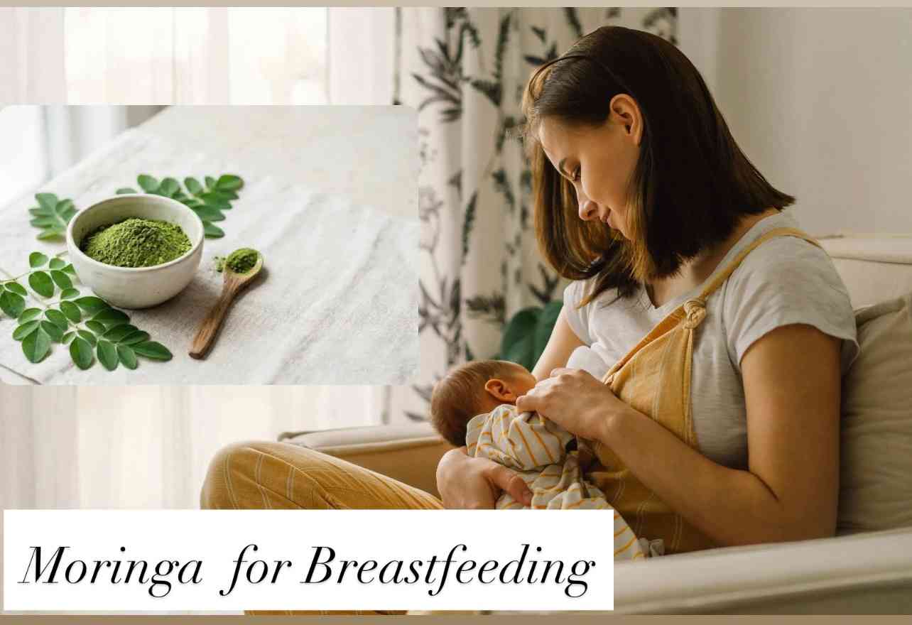 moringa for breastfeeding