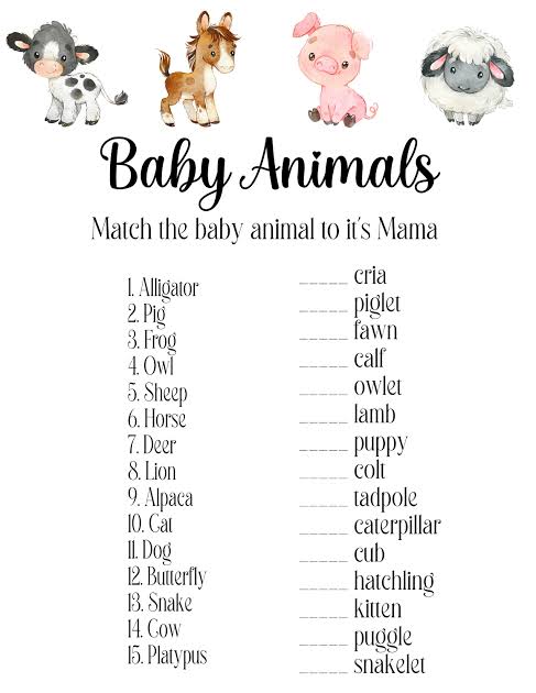 Baby Animals Match
