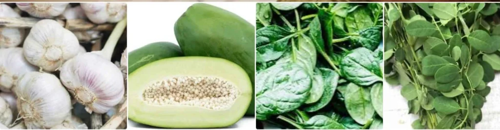 The Nutrient-Dense Greens & Vegetables