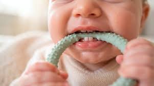 Baby Teething Timeline