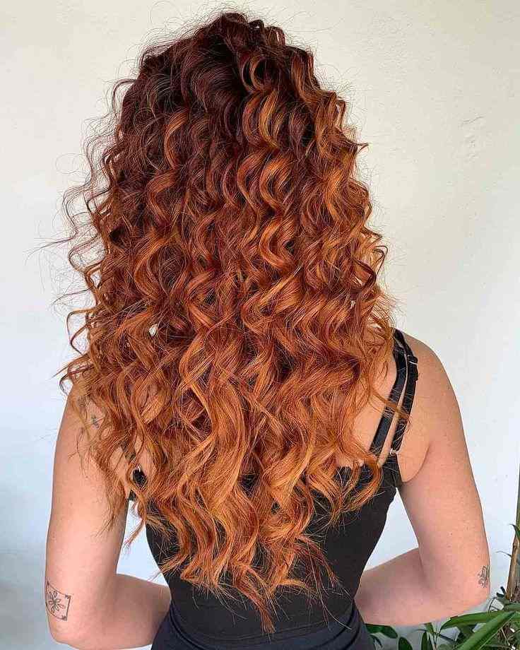Long Natural Curls with Ombré Ends