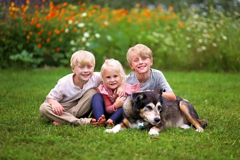 5 Signs Your Senior Dog Needs a Veterinary Checkup