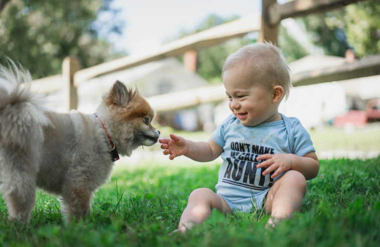 Getting a Family Dog? Here’s What Kids Need to Learn First