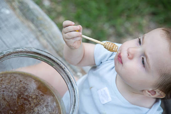 Can 1 Year Old Have Honey