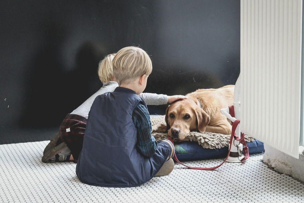 Gentle Handling Has to Be Taught