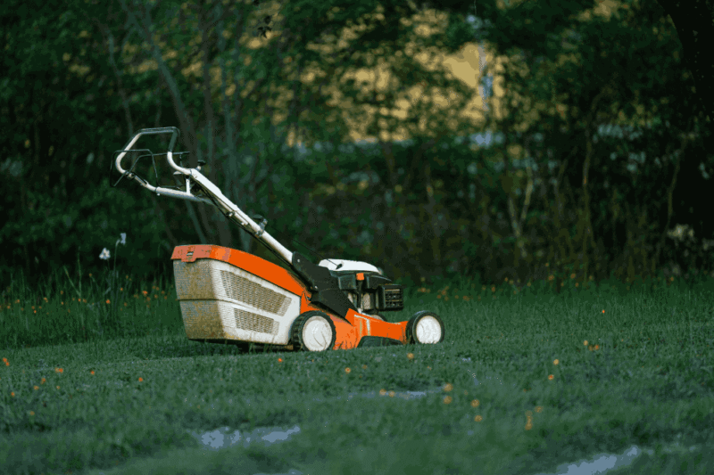 Smarter Yard Work: What You Should Know Before Switching to Battery Lawn Tools