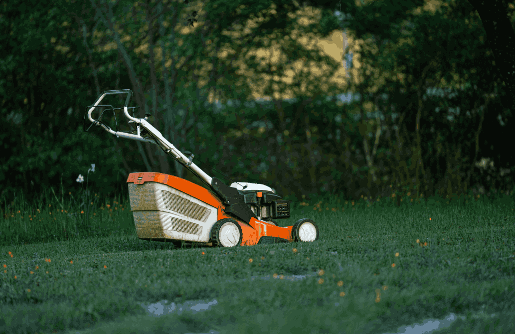 Yard Work